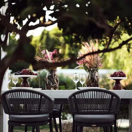 Villa Butterflies Zante Luxury Tsilivi (Zakynthos)
