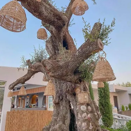 Venus Resort Tsilivi (Zakynthos)