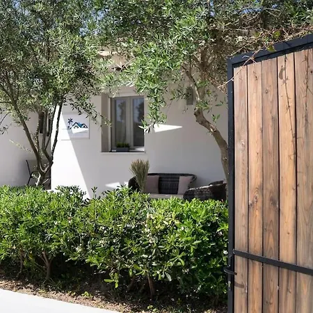 Vakantiehuis Pierina House Tsilivi (Zakynthos)