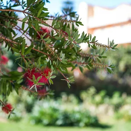 Ragias Studios * Tsilivi (Zakynthos)