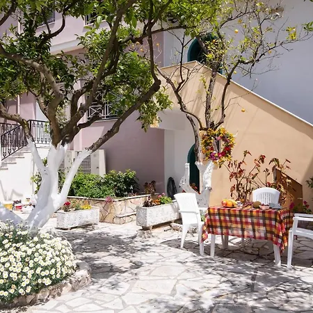 Domus Alta Apartment