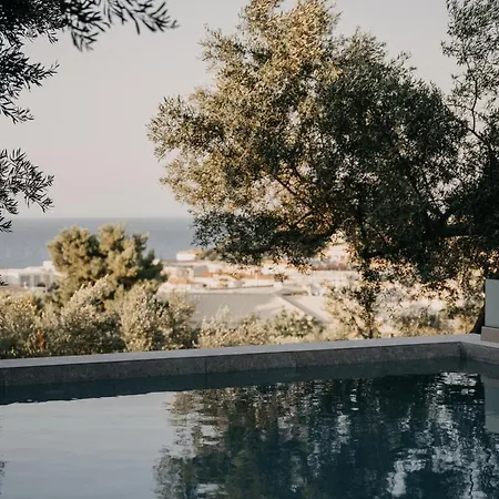 Zante Calinica Hotel Tsilivi (Zakynthos)