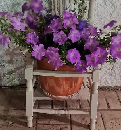 Sole E Mare Family Apartment