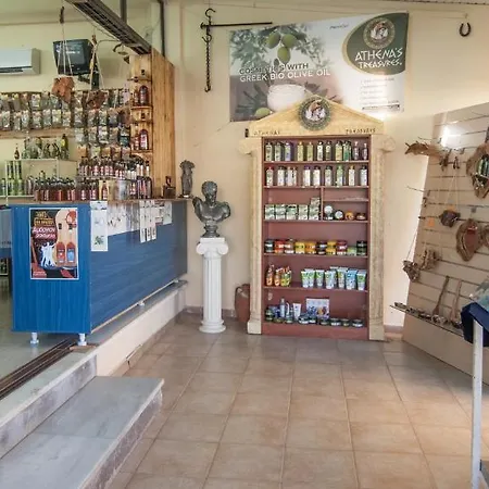 Plessas Apartment Tsilivi (Zakynthos)