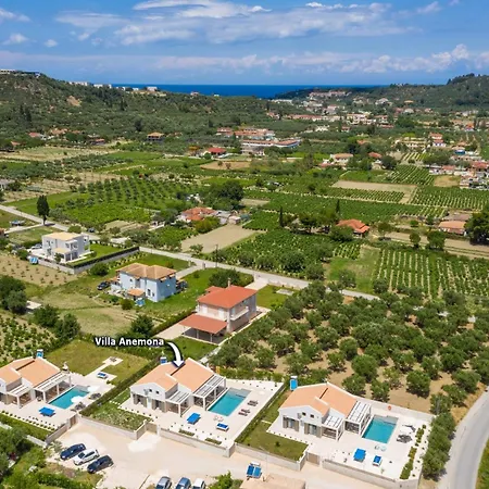 Anemona By