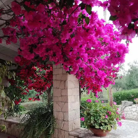 Villa Casa Nostos *