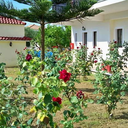 Apartment Red Rose Garden Tsilivi (Zakynthos)