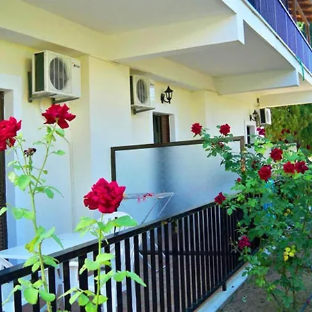Apartment Red Rose Garden