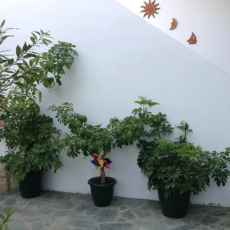 Apartment Smile's Tsilivi (Zakynthos)