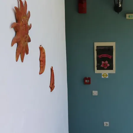 Apartment Smile's Tsilivi (Zakynthos)