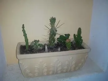 Appartement Sofos