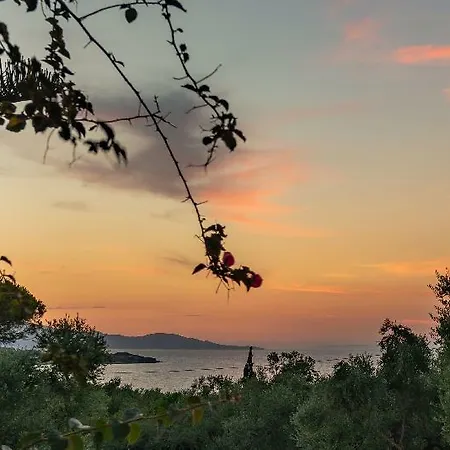 Ionian Aura 2*
