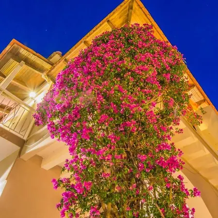 Emily Zakynthos Apartment Tsilivi (Zakynthos)