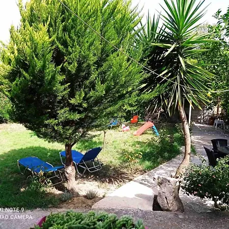 Julia Appartement Tsilivi (Zakynthos)