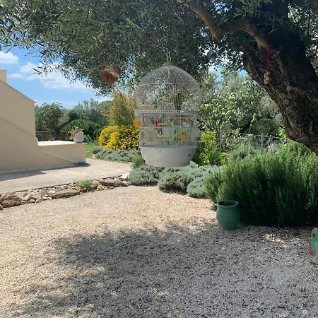 Apartment Agraria 1 Bedroom Basement Tsilivi (Zakynthos)