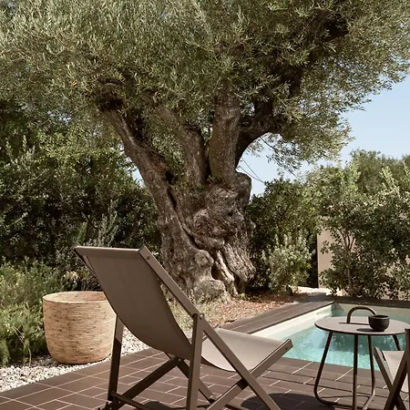 Zayn Luxury Villas, A Serene Escape, By Thinkvilla *