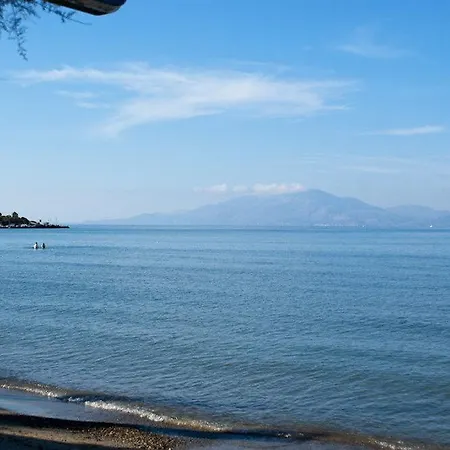 Anetis 2* Tsilivi (Zakynthos)