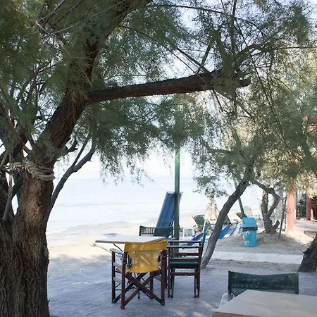Anetis 2* Tsilivi (Zakynthos)
