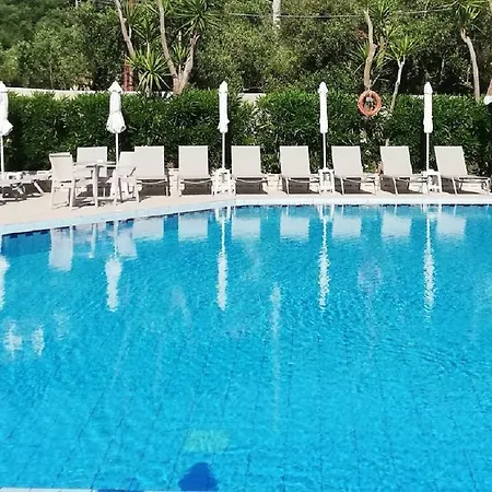 Daisy - Tsilivi (Zakynthos)